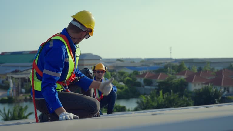 Best Metal Roofing Installation  in Cobden, IL
