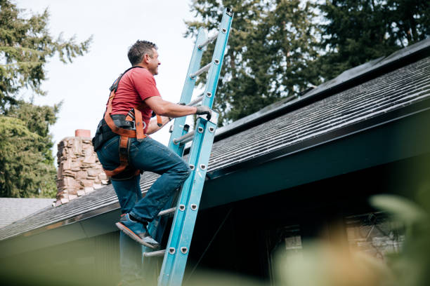 Best Hot Roofs  in Cobden, IL