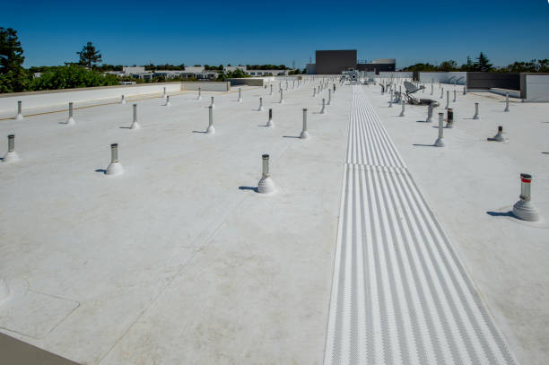 Best Roof Coating Services  in Cobden, IL